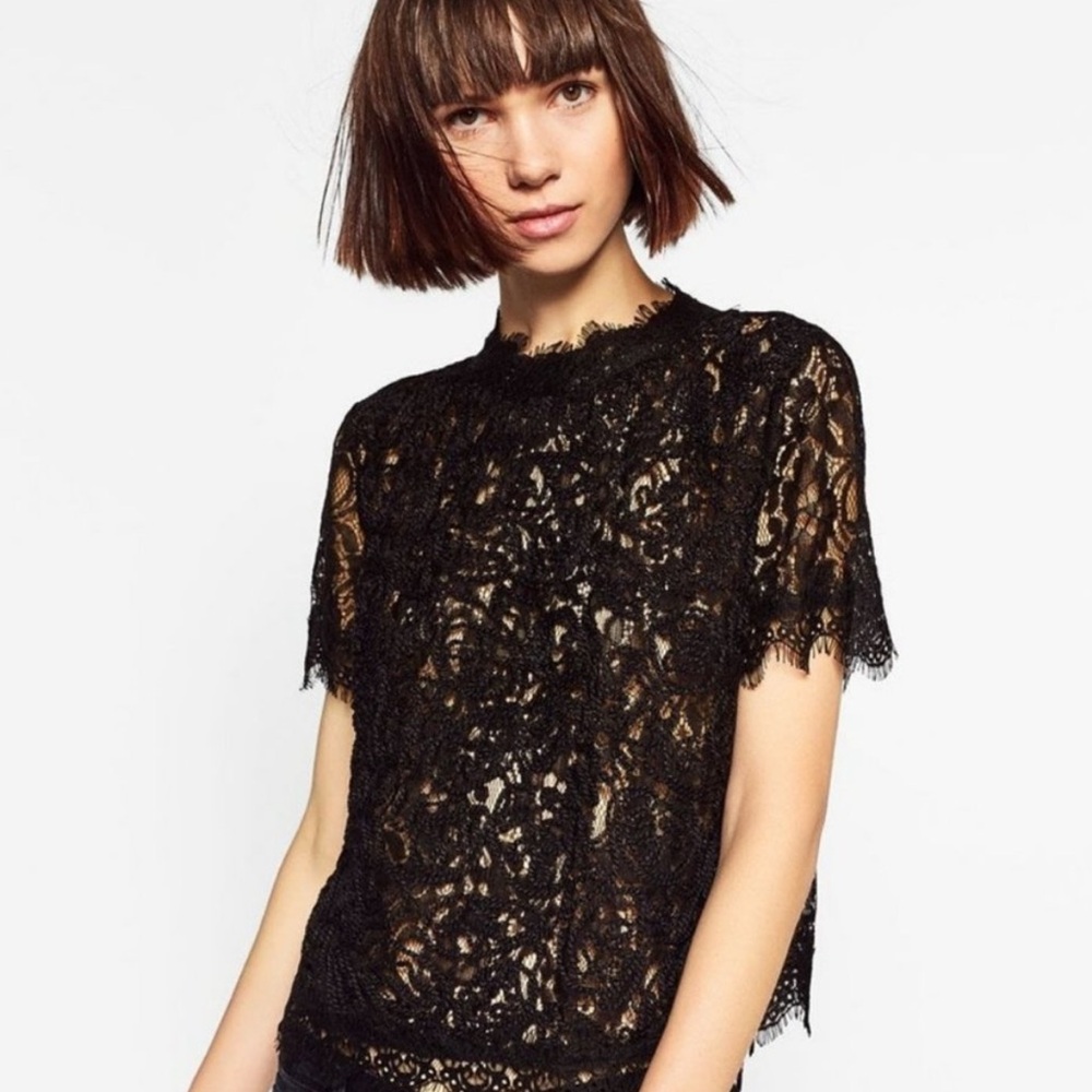 Zara Trafaluc Lace Short-Sleeve Blouse in Black